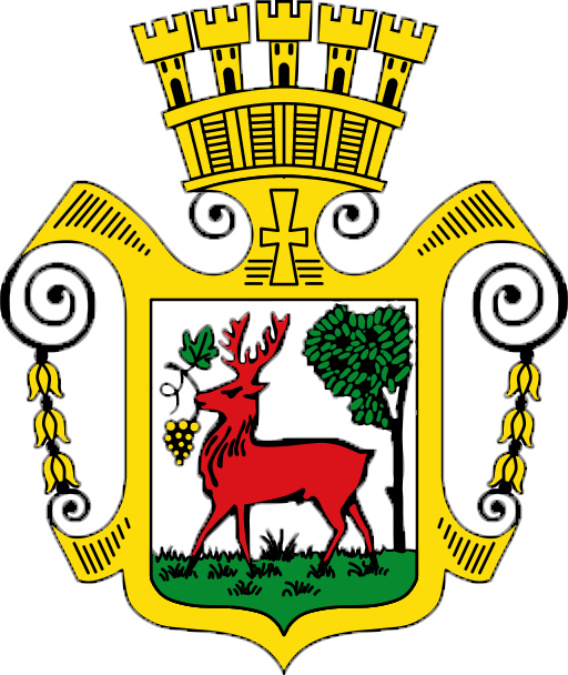 Wappen TuSpo Obernburg